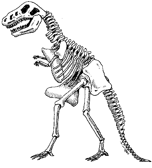 dinosaur skeleton - Clip Art Gallery