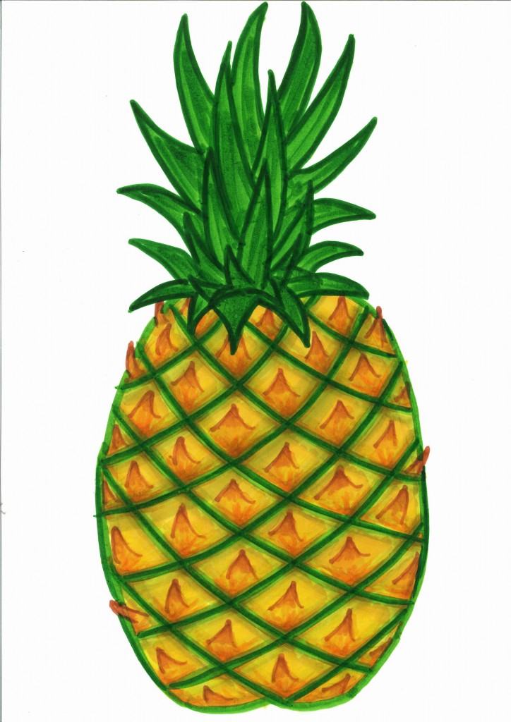 Pineapple Clip Art Cutouts