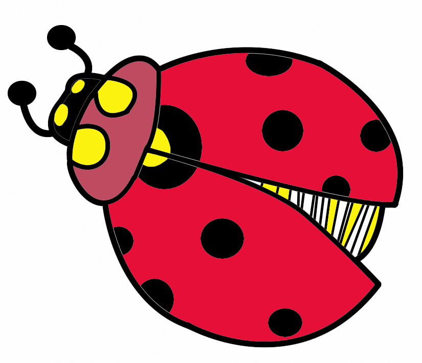 Lady Bug Clipart | Free Cliparts