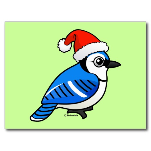 Cute Cartoon Blue Jay Santa Post Cards | Zazzle