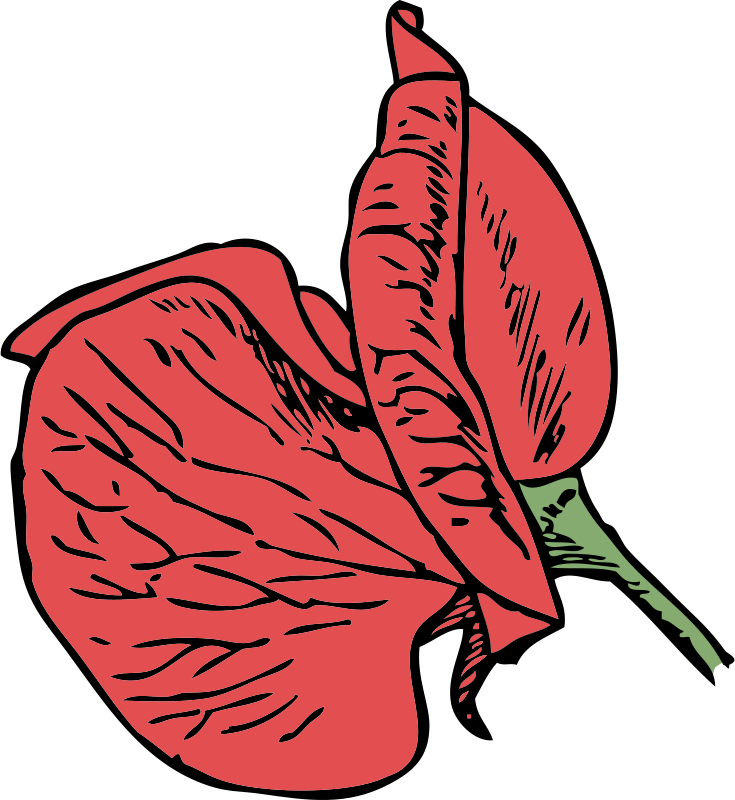 Sweet Pea Flower Clip Art