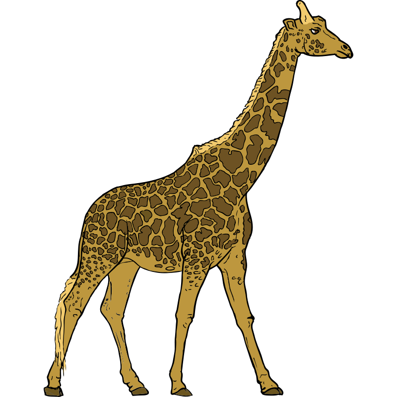 Clipart - Giraffe