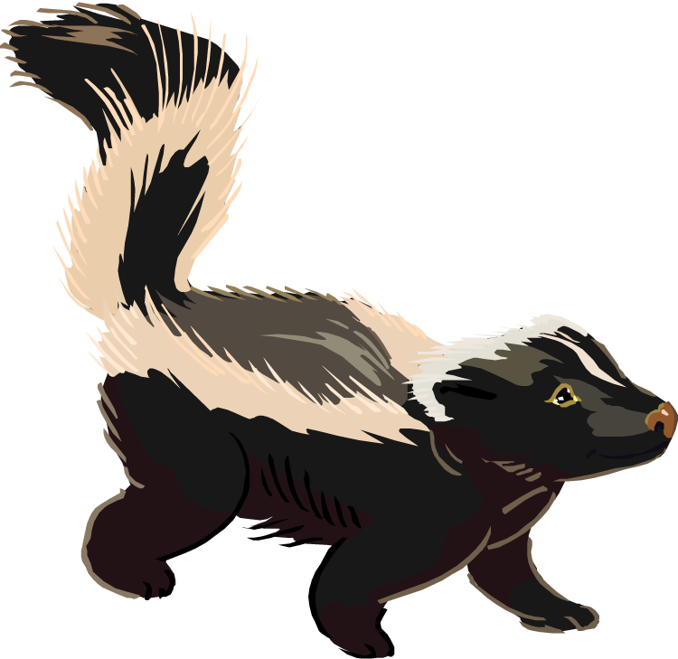 Skunk Clipart Black And White
