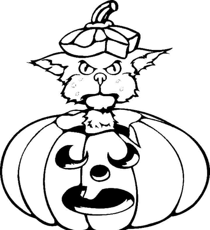 Animal Cat Colouring Pages Printable Free For Kids & Boys #