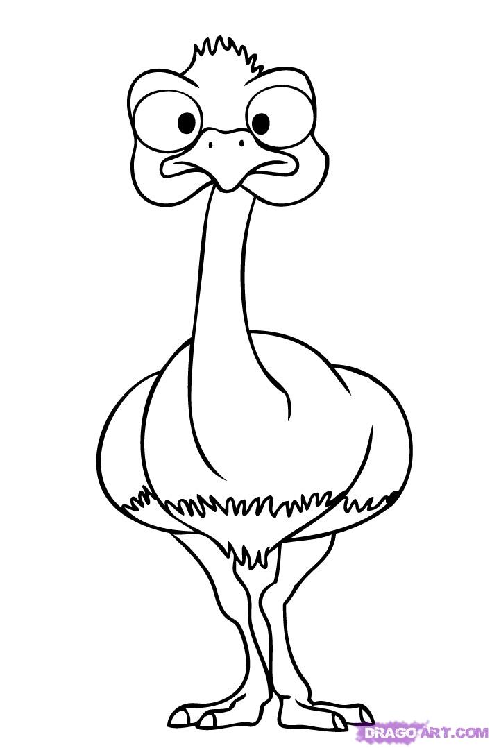How to Draw an Ostrich, Step by Step, Cartoon Animals, Animals ...