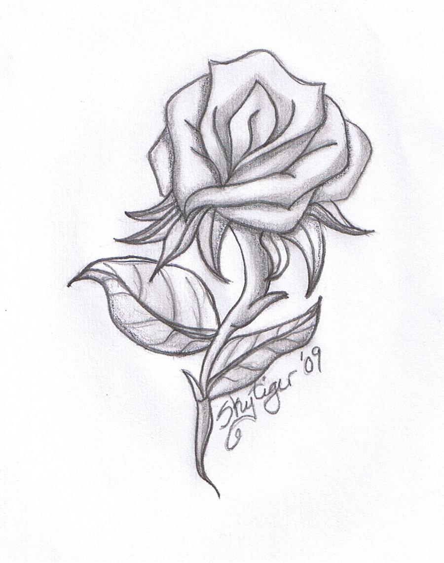 Awesome Rose Drawings - The Wondrous Pics
