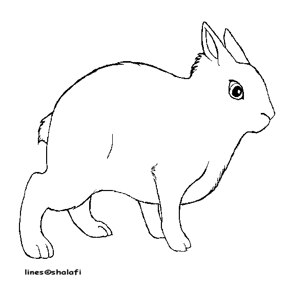 Hermelin rabbit template free by Shalafi-Anwe on DeviantArt
