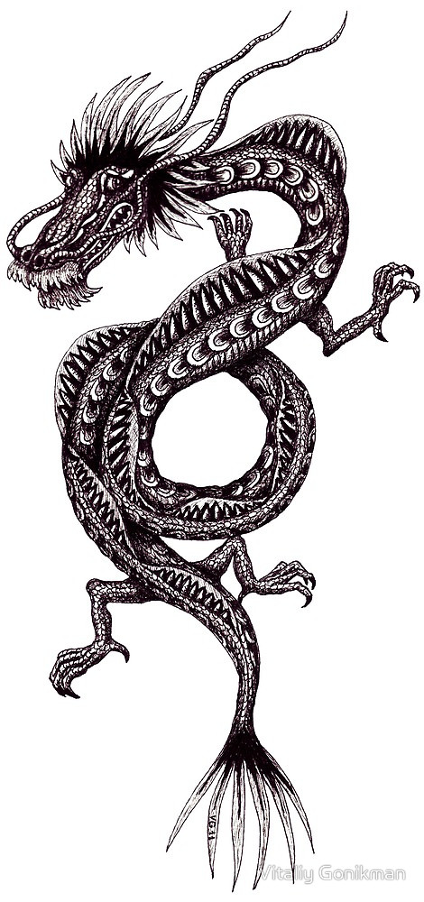 Chinese Dragon black and white pen ink drawing" by Vitaliy ...