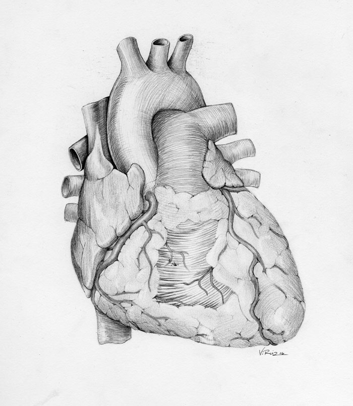 Medical State of Mind — Heart by Vanessa Ruiz.