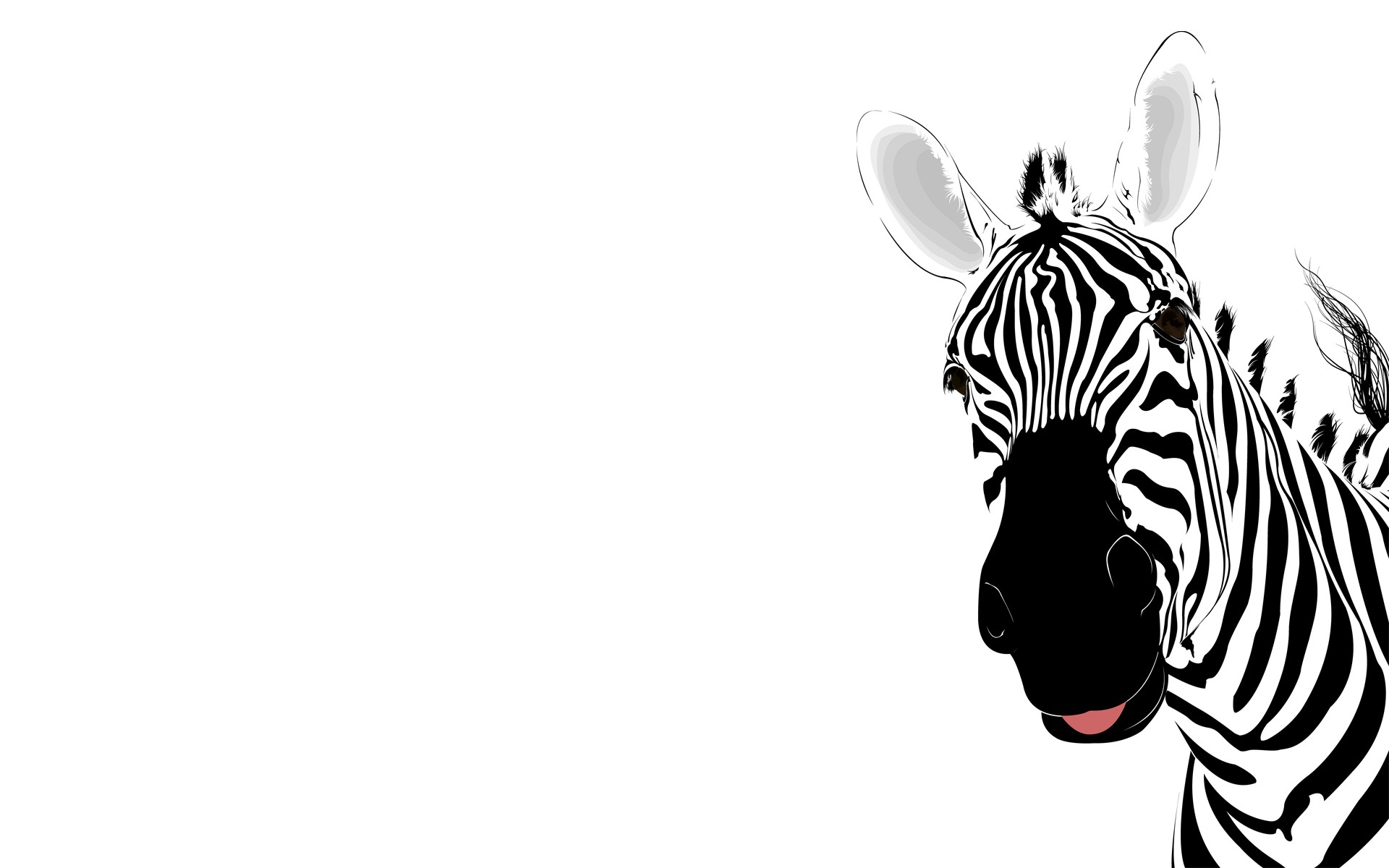 Zebra Border Template Cliparts.co