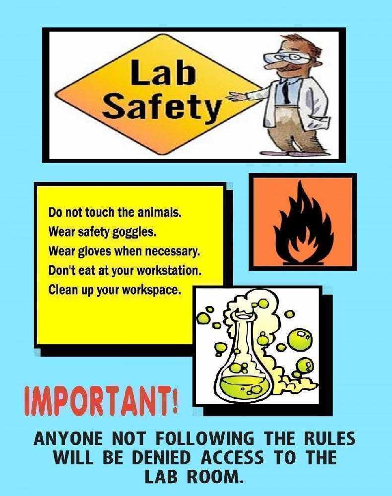 Make a Science Fair Project about Science Lab Safety: Science Lab ...