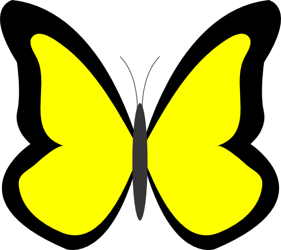 Butterfly 26 Color Colour Yellow 1 Peace xochi.info ...