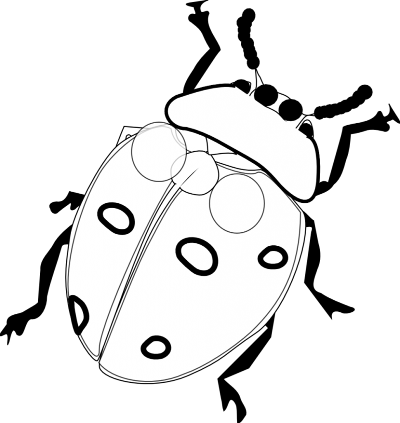 Cartoon Clipart Of A Black And White Happy Ladybug Over A Sign ...