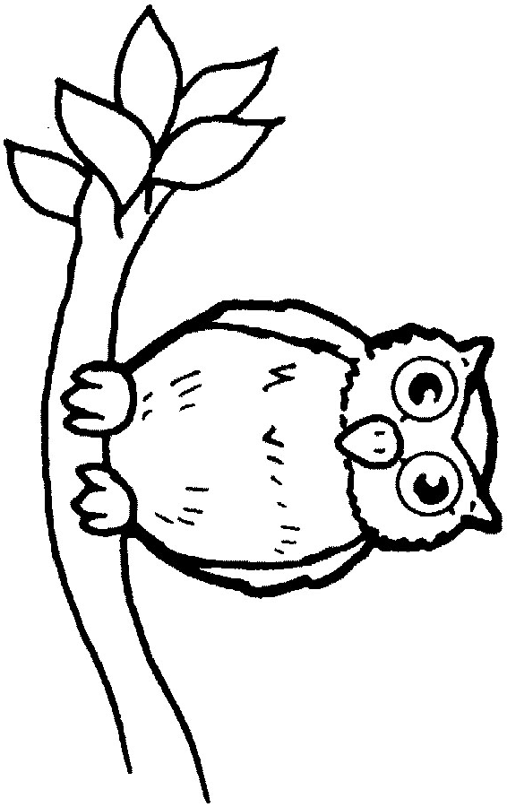 Owl a branch coloring page - Animals Town - animals color sheet ...