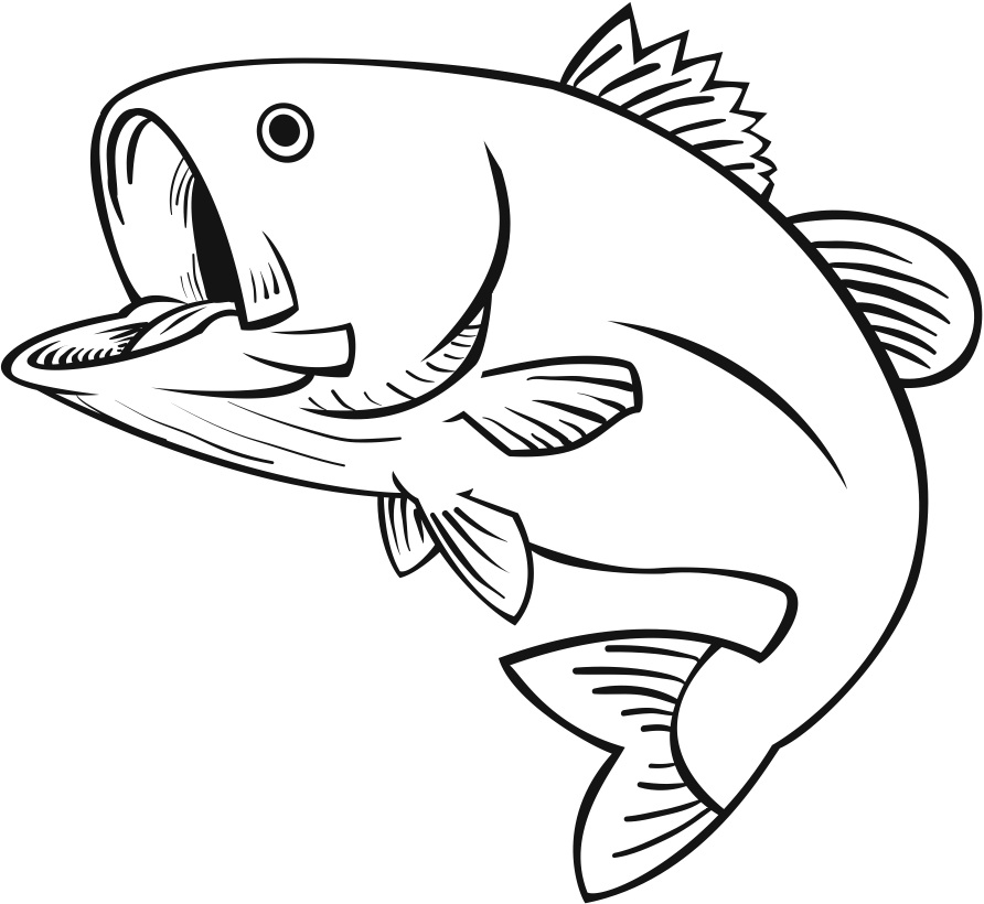 clipart line drawing fish - photo #39