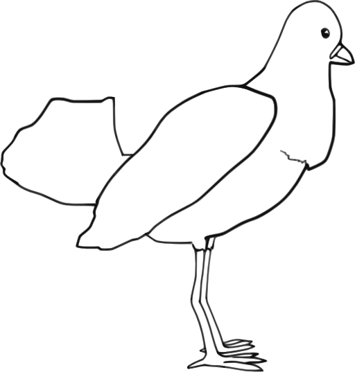 Bird Outline Drawing - Cliparts.co