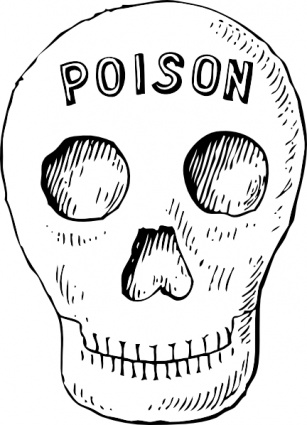 Poison Skull clip art - Download free Cartoon vectors