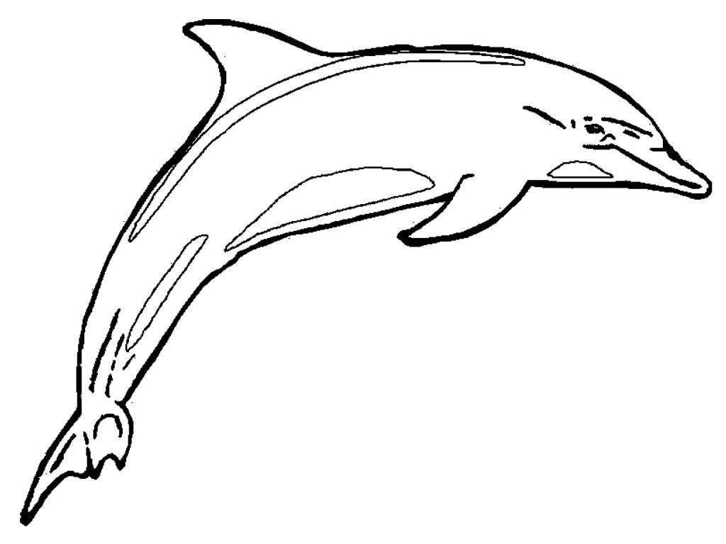 Dolphin Line Drawing - ClipArt Best