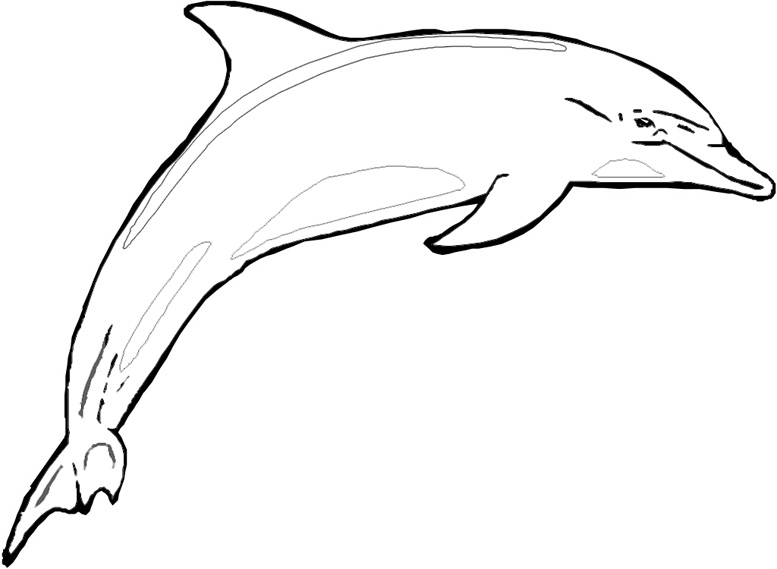 Free Printable Dolphin Coloring Pages 200 | Free Printable ...