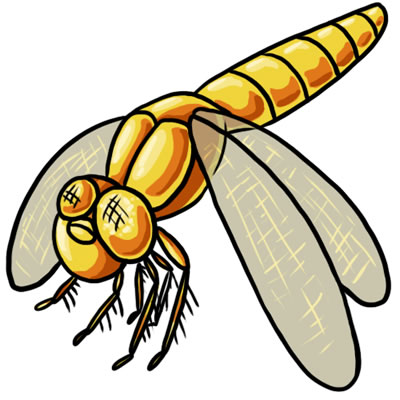 50 FREE Dragonfly Clip Art 17