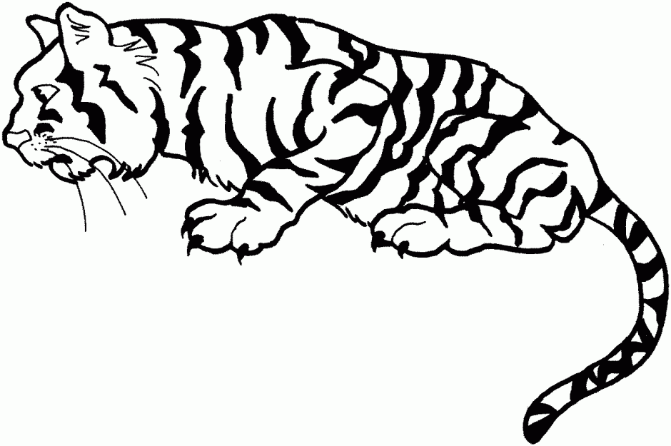 tiger clip art black and white - photo #26