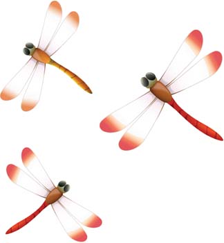 Dragonfly 2 clip arts, clip art - ClipartLogo.