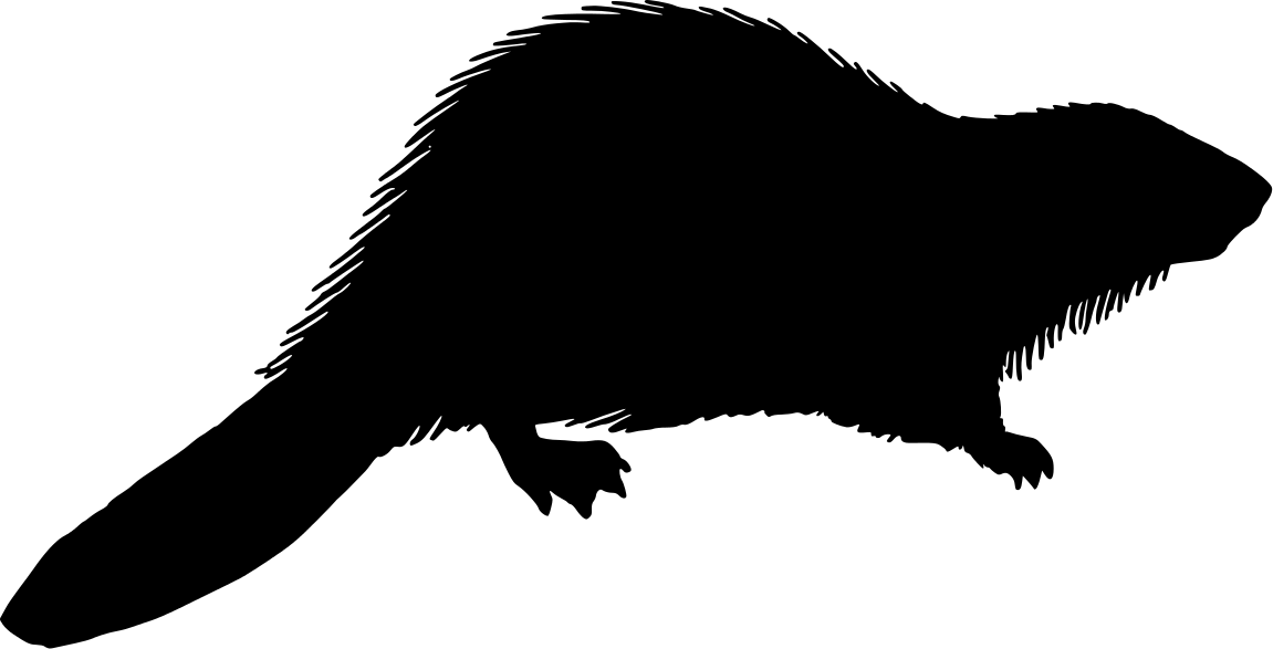 Beaver Silhouette Images & Pictures - Becuo