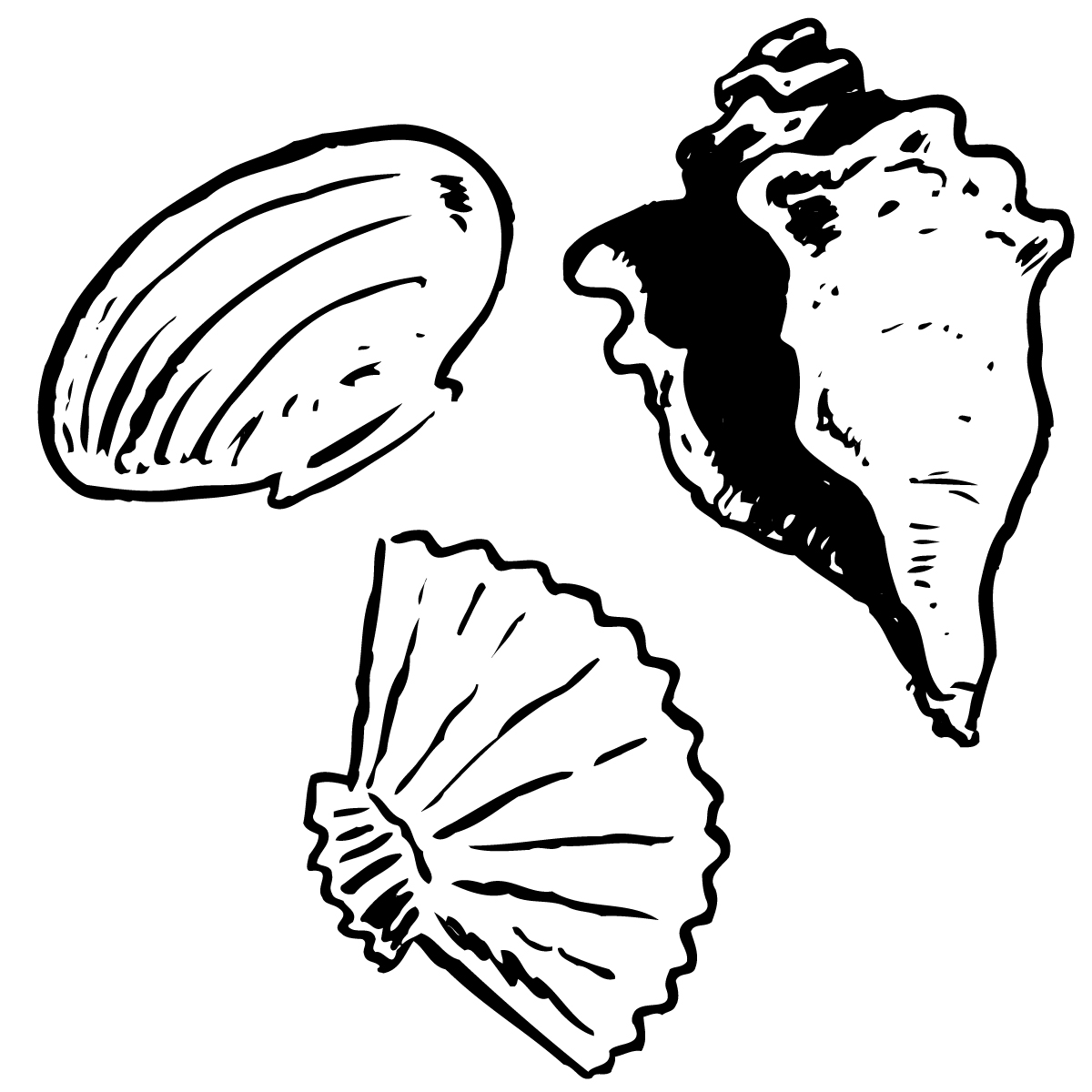 clipart seashells Colouring Pages (page 2)