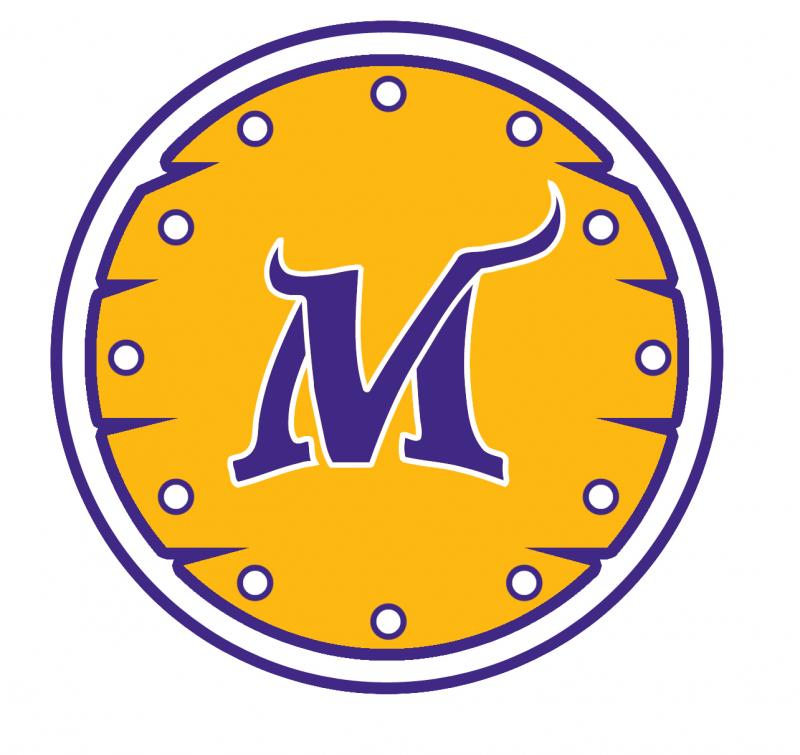 Minnesota Vikings Logo - Concepts - Chris Creamer's Sports Logos ...