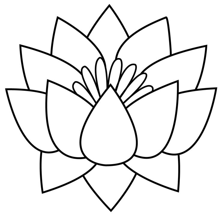 lotus flower images free | design ideas | Pinterest