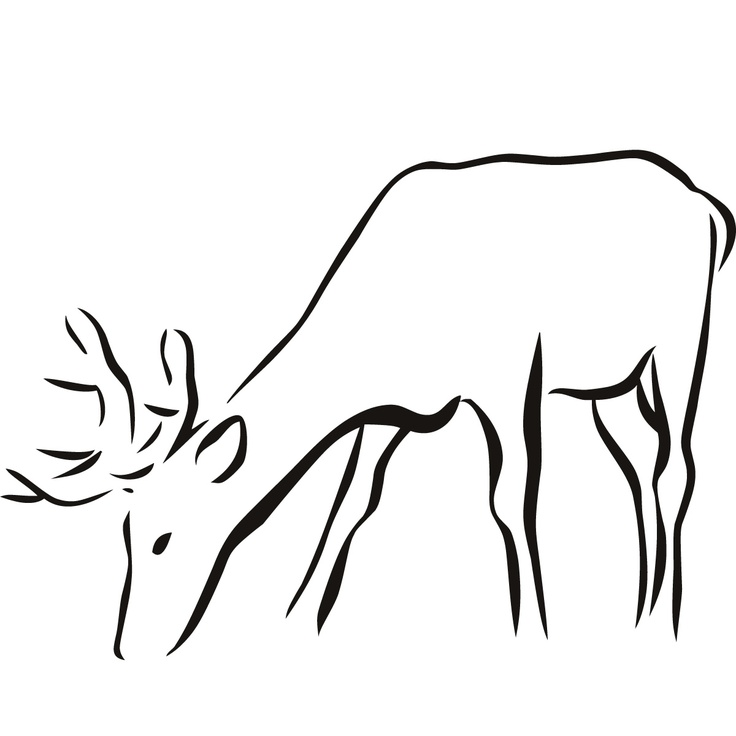 Stag 1 | Line Drawings (Outlines) | Pinterest