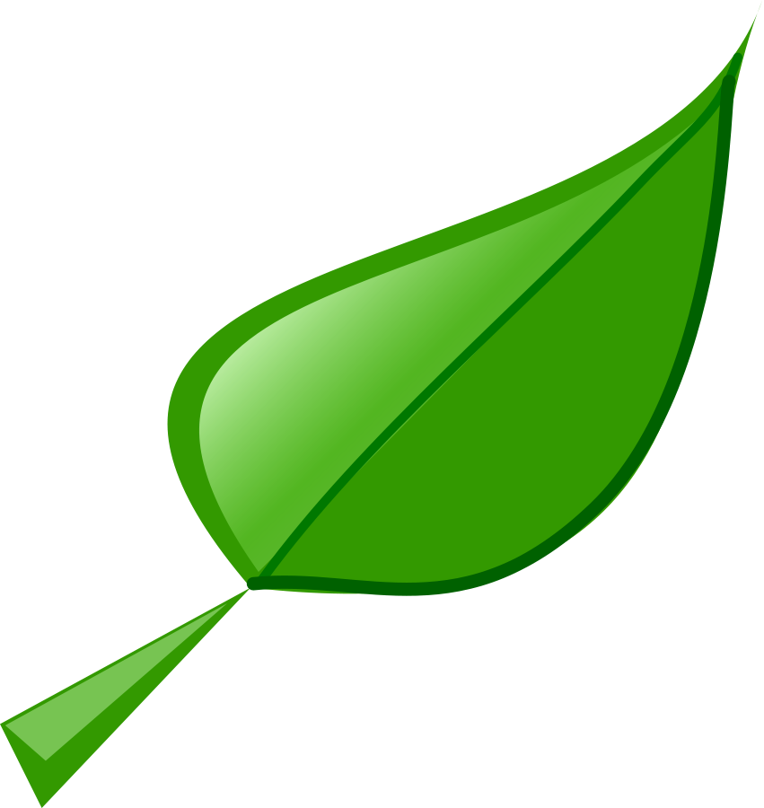 clipart green leaf - photo #13