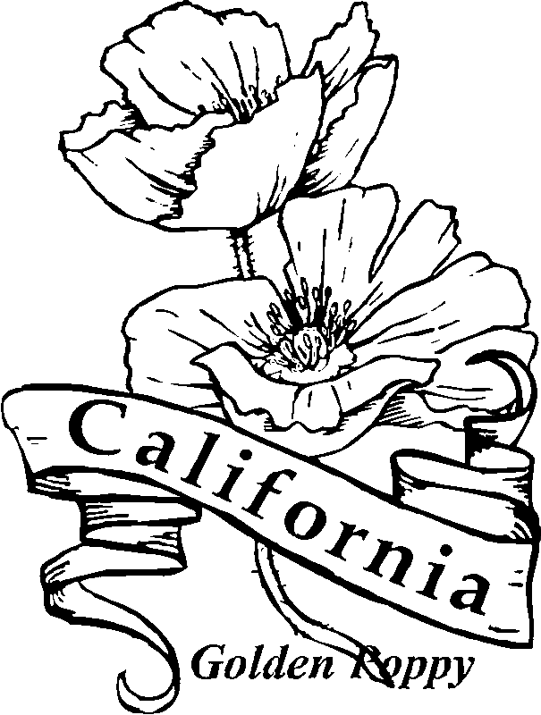 California Poppy Coloring Pages | Kids Coloring Pages | Printable ...