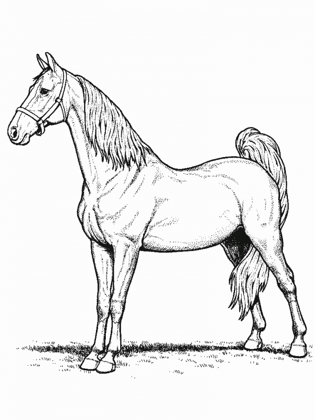 Barnyard Animal Coloring Pages Free Coloring Pages For Kids 136696 ...