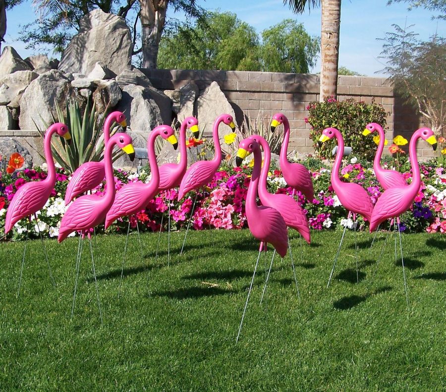 Pink Yard Flamingos | Plastic Flamingos | Pink Lawn Flamingos