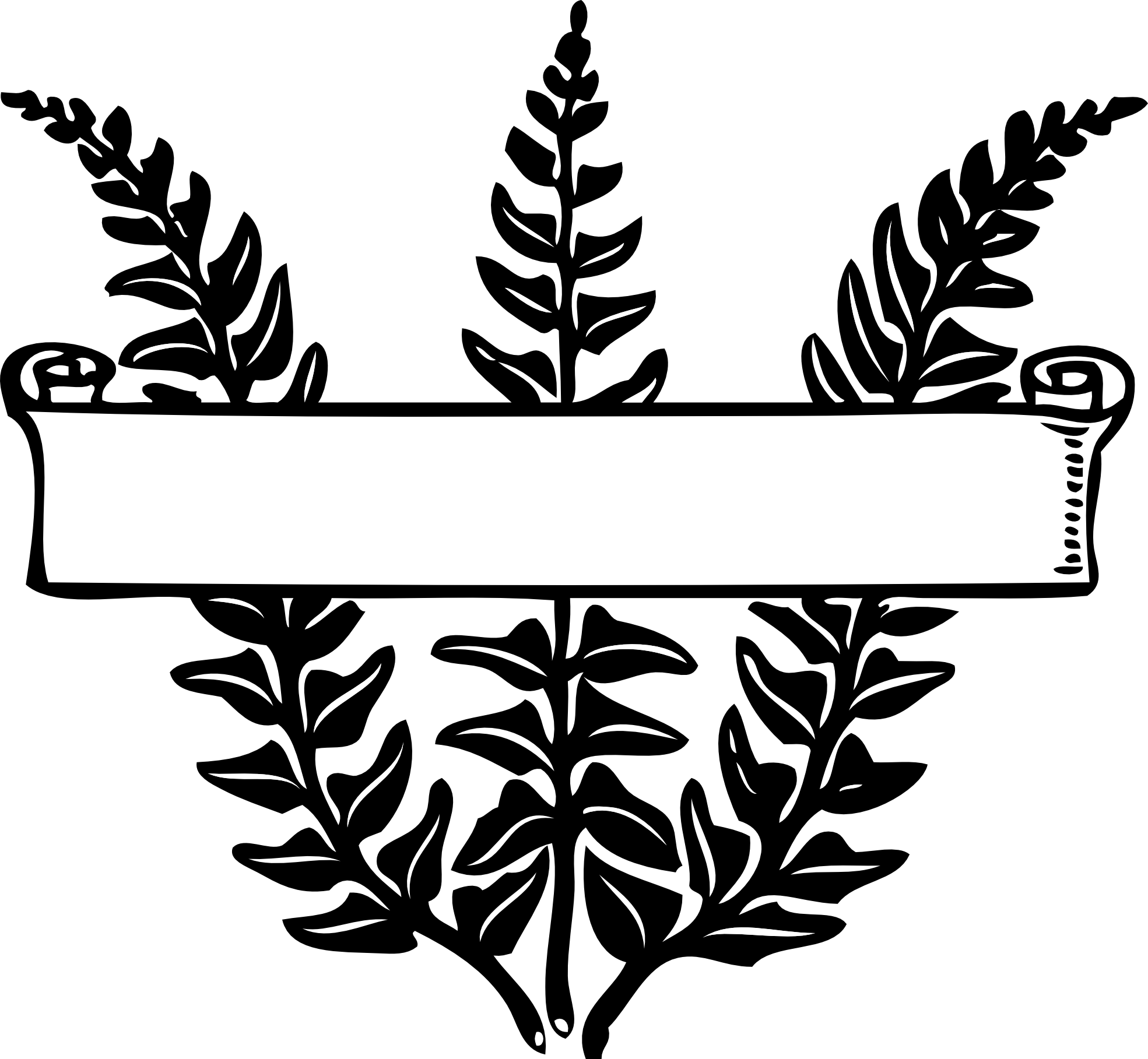 scroll over ferns black white line art coloring ... - ClipArt Best ...