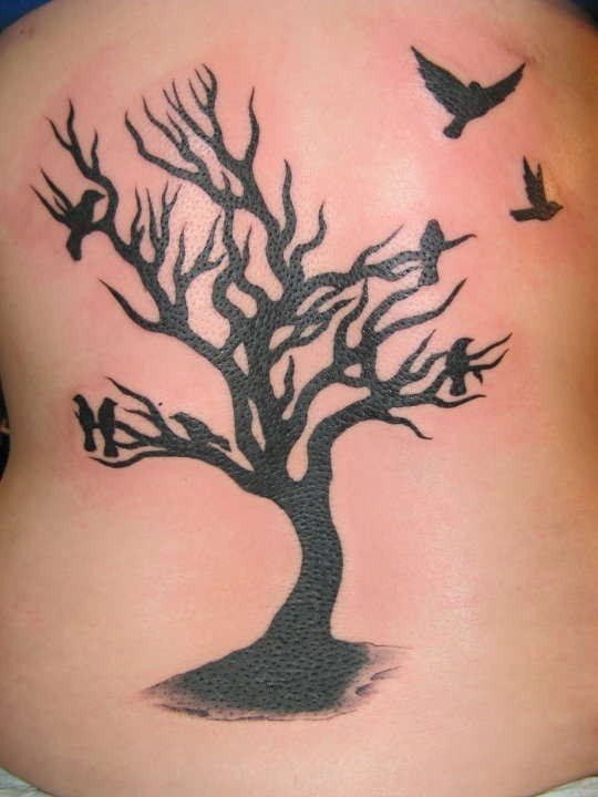 Black ink tree and birds tattoo on back - Tattooimages.biz