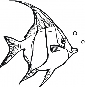 Seaweed Coloring Pages - Cliparts.co