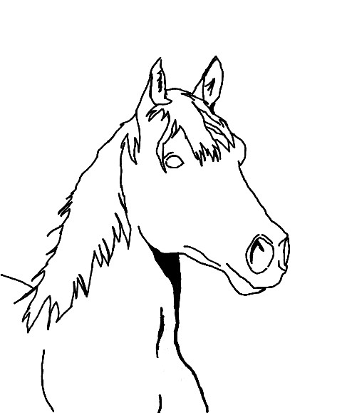Easy Drawings Of Horses Heads - ClipArt Best - Cliparts.co