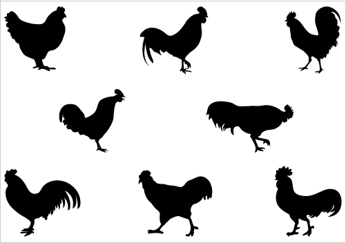 free chicken clipart black and white - photo #23