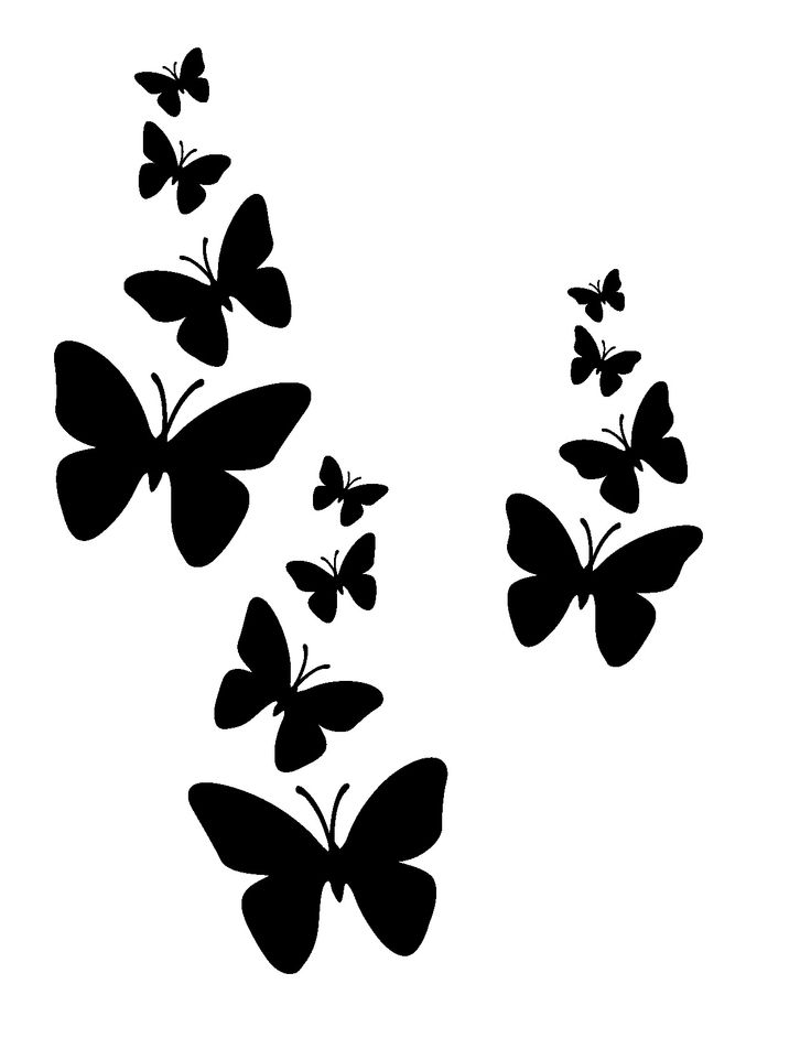 Butterfly Stencil Wall Ideas Pinterest Cliparts co