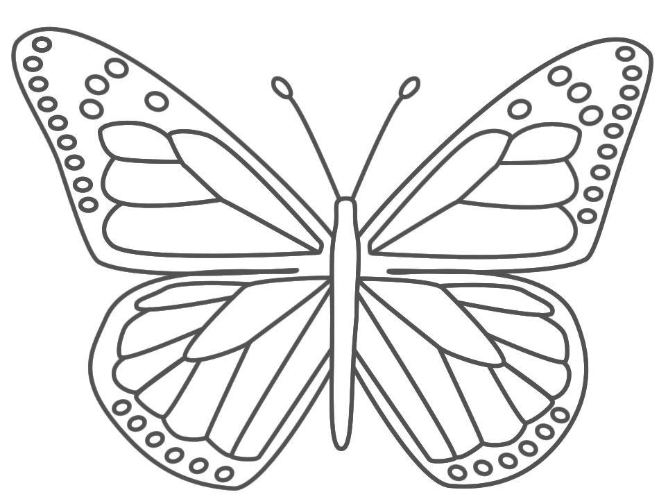 a colerting picer of a buterfly | butterfly coloring pages for ...