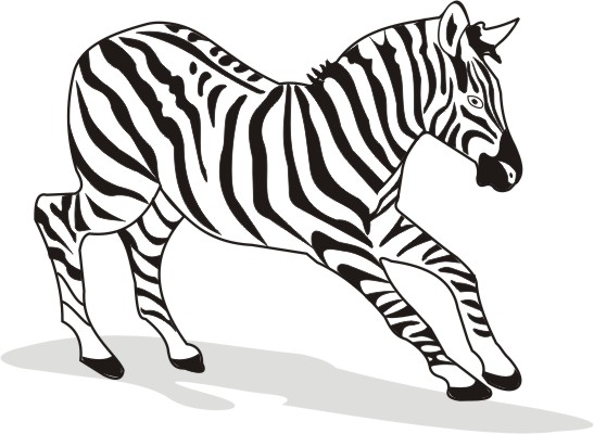 Animal's Name, Coloring Pages Zebra