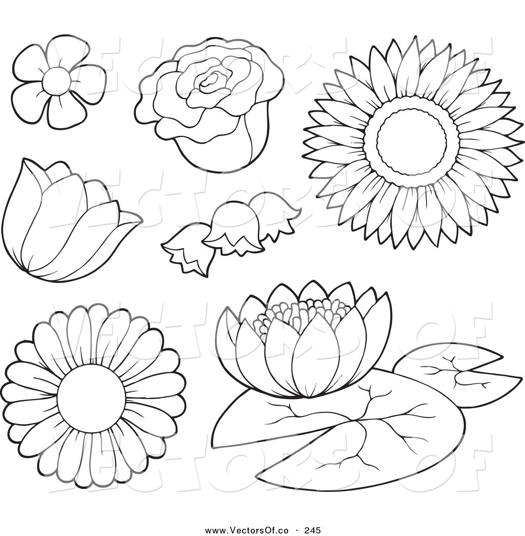 Vector of a Coloring Page Outline of Flowers by visekart - #245