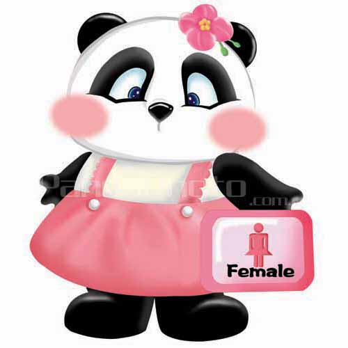 大熊猫图片网Cartoon Pandas