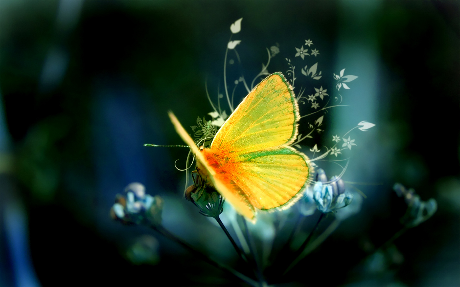 Yellow butterfly art #6998561