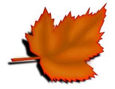 fall leaves clip arts | Art Design and Craft