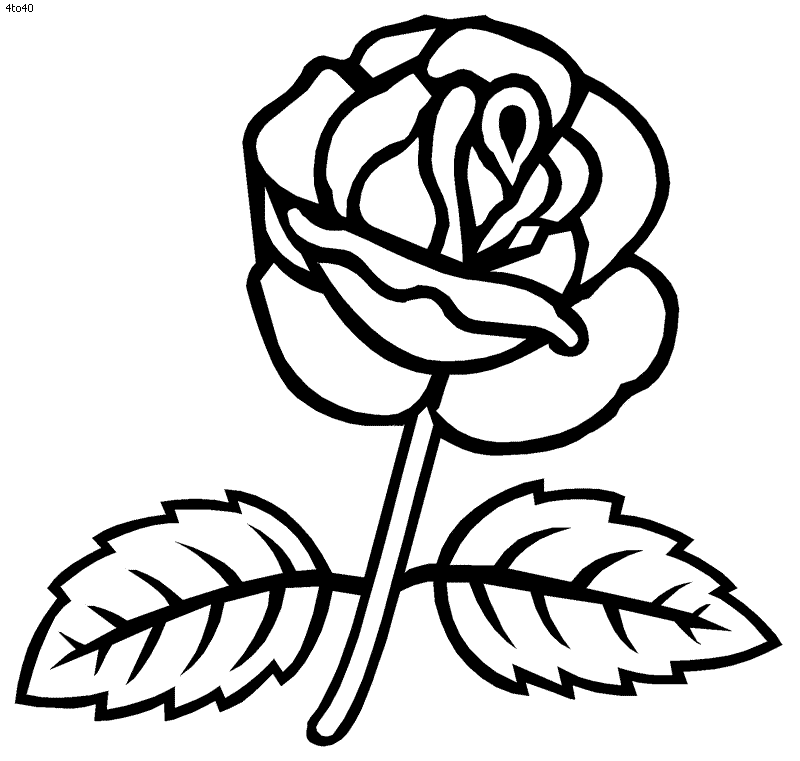 France Coloring Page, Rose Coloring Page, France Coloring Book
