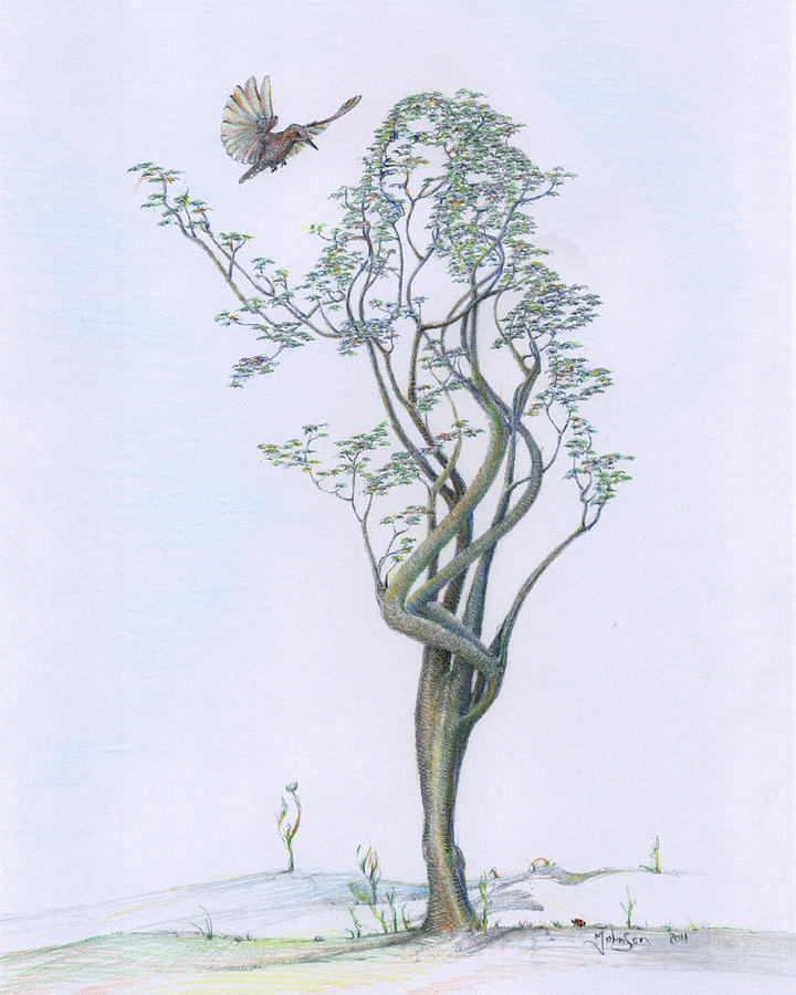 Tree Drawing Colour - Gallery