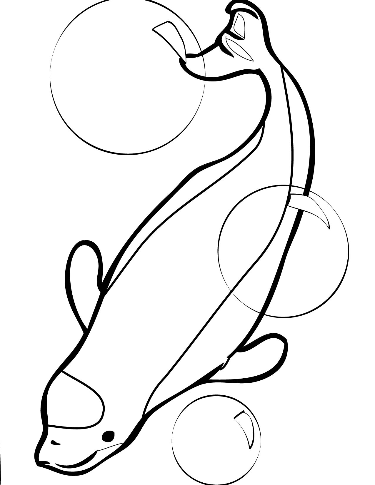 Simple Beluga Coloring Page for Adult